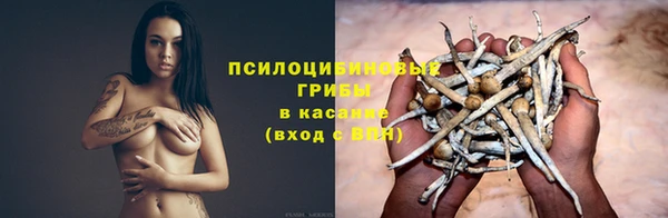 винт Карпинск